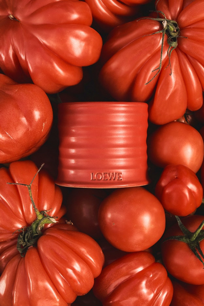 A Bounty Of Tomato-Scented Products Brings “Tomato Girl Summer” Into The Home